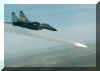 MiG-29 (37496 bytes)