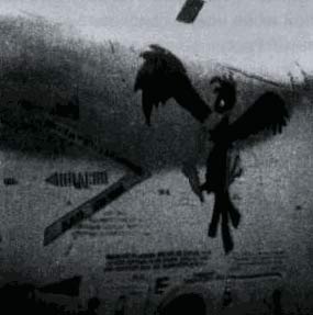 Изображение грача на борту штурмовика Су-25