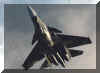 Su-37 (40085 bytes)